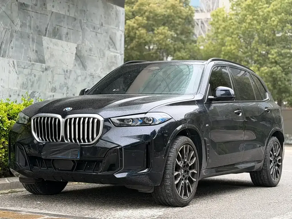 BMW X5 2024 из CN, фото 1