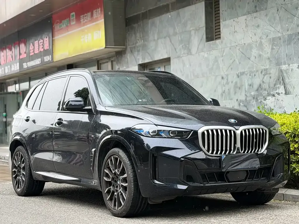 BMW X5 2024 из CN, фото 2