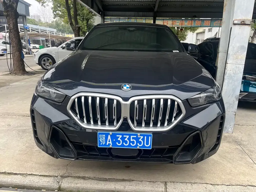 BMW X6 2025 из CN, фото 5