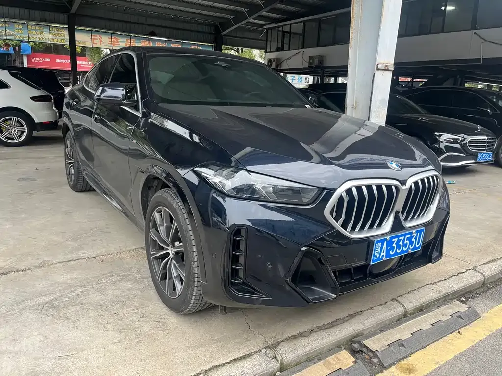 BMW X6 2025 из CN, фото 10