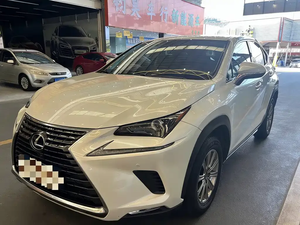Lexus NX 2021 из CN, фото 1