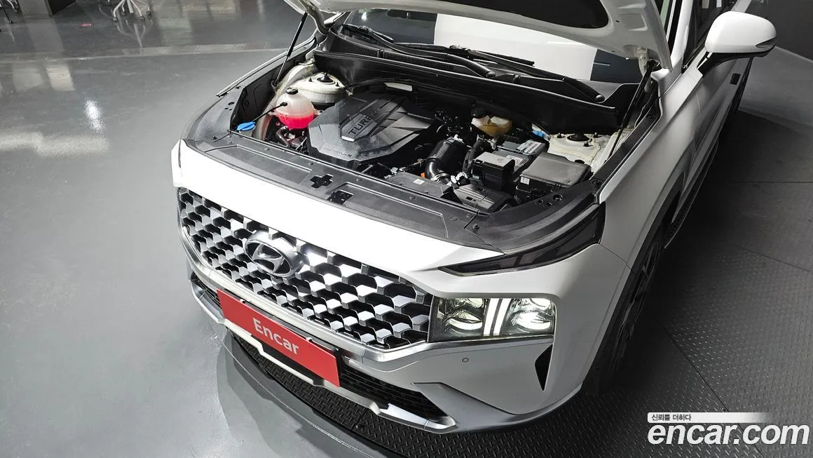 Hyundai Santafe 2021 из KR, фото 8