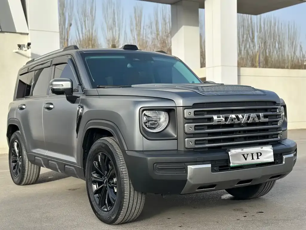 Haval Menglong New Energy 2025 из CN, фото 8