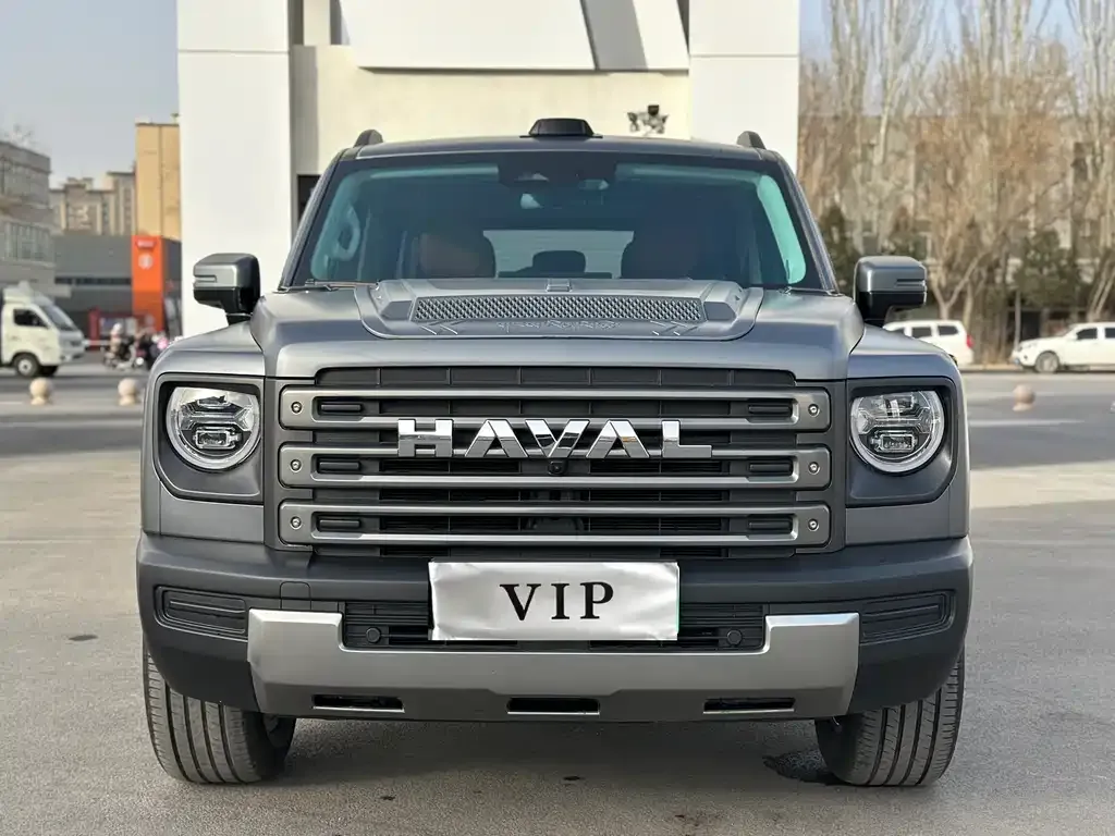 Haval Menglong New Energy 2025 из CN, фото 9