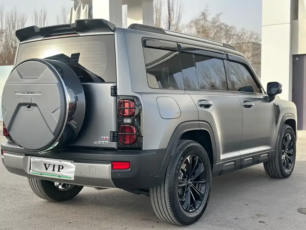 Haval Menglong New Energy 2025 из CN, фото 6