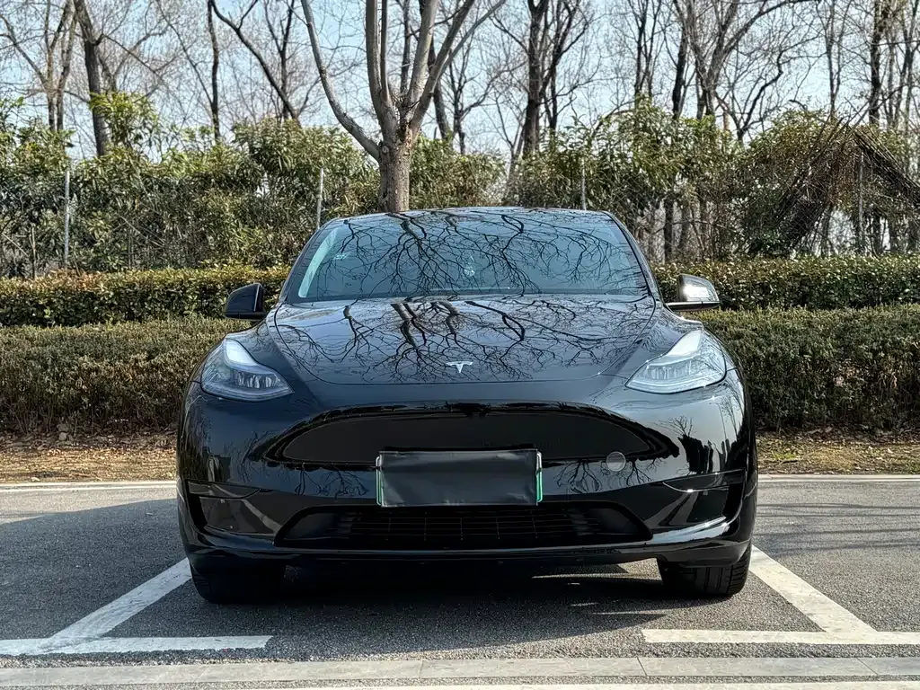 Tesla Model Y 2023 из CN, фото 1