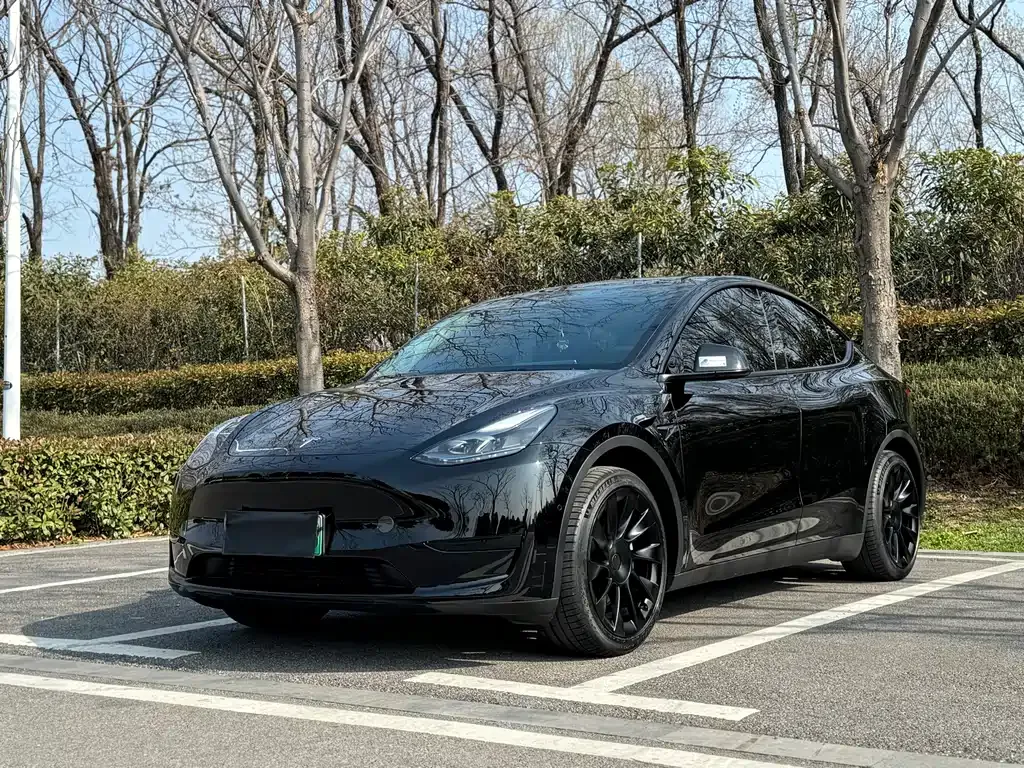 Tesla Model Y 2023 из CN, фото 8