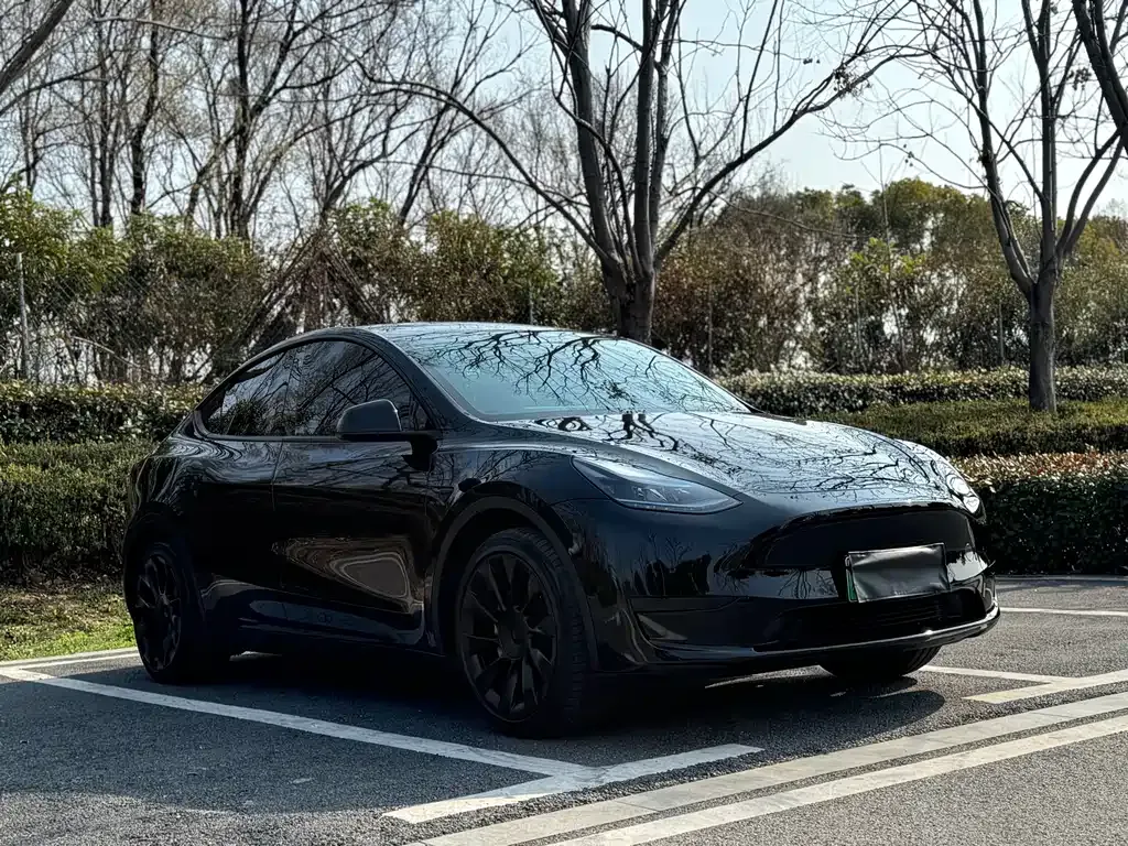 Tesla Model Y 2023 из CN, фото 5