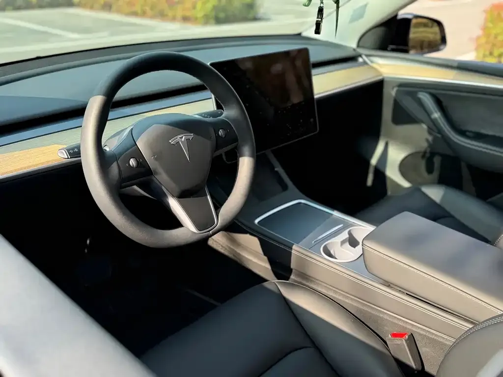 Tesla Model Y 2023 из CN, фото 10