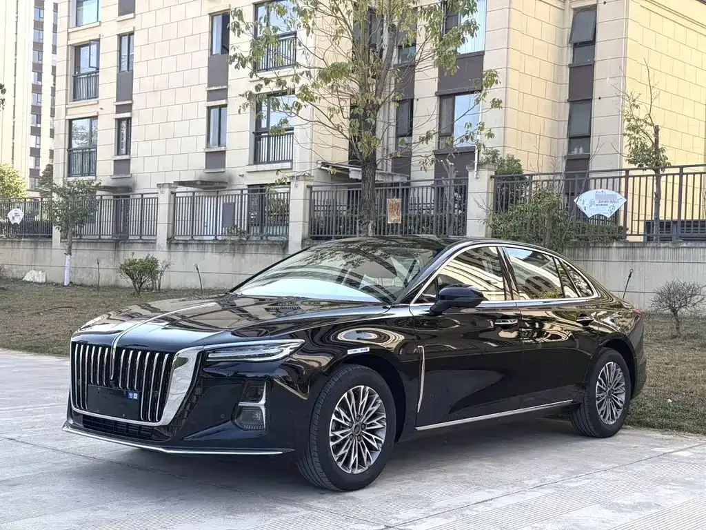 Hongqi H5 2024 из CN, фото 1