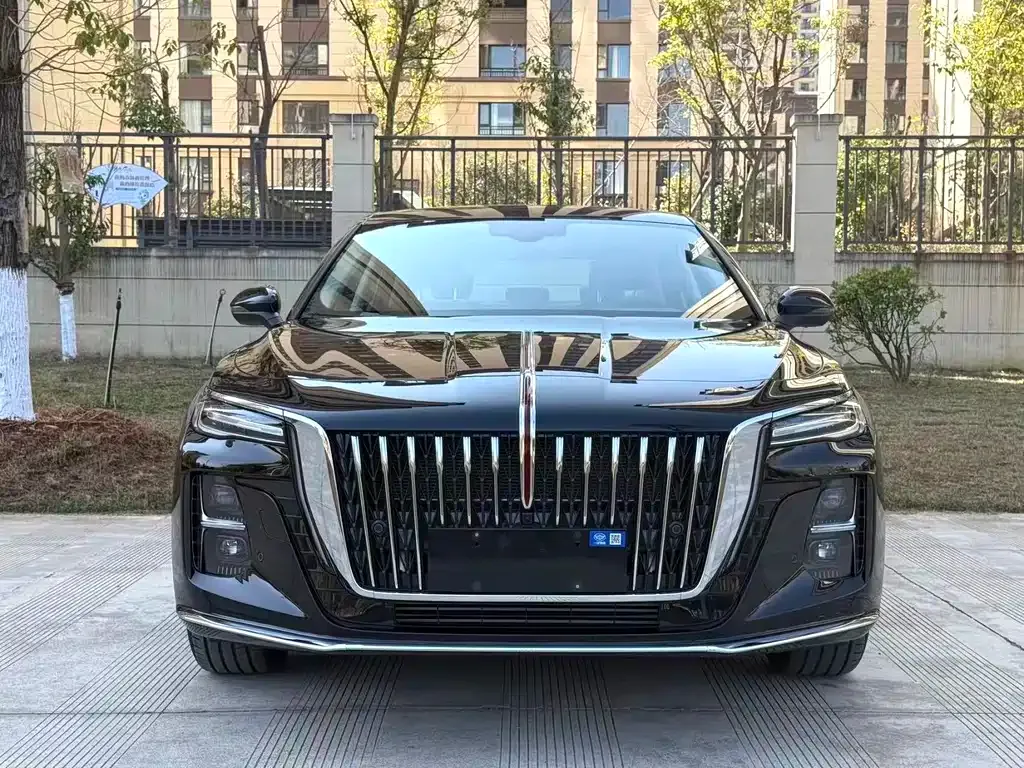 Hongqi H5 2024 из CN, фото 8