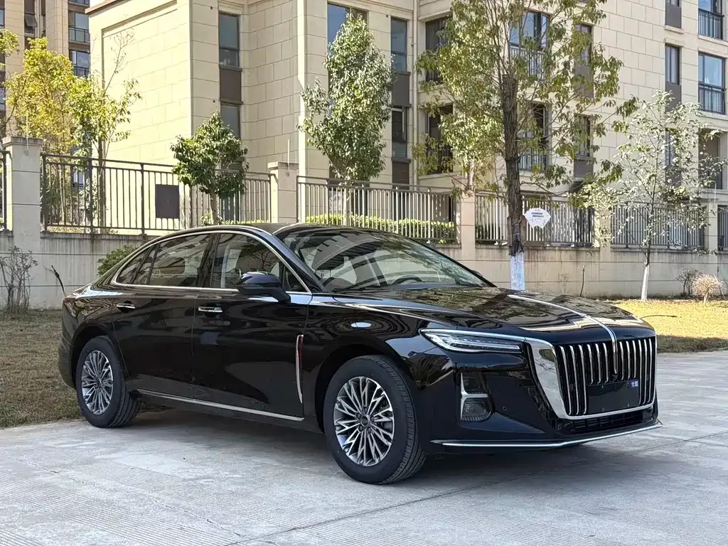 Hongqi H5 2024 из CN, фото 5