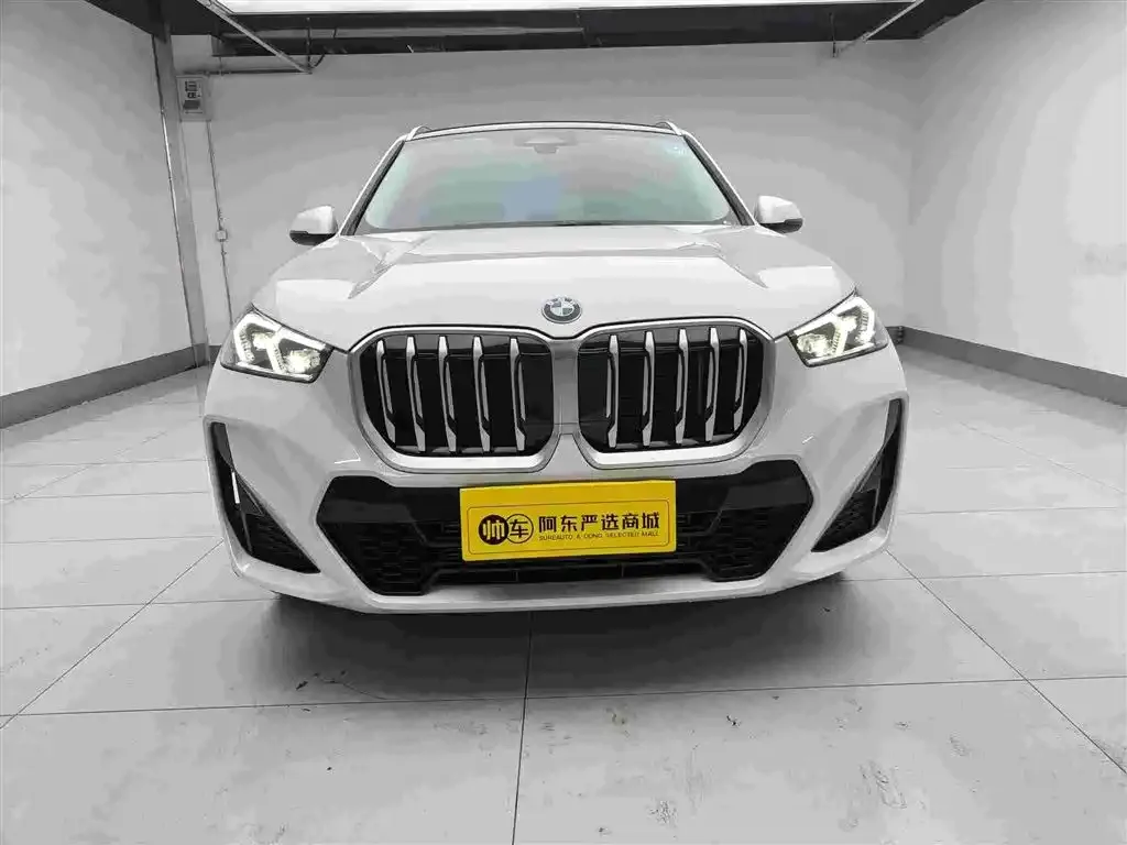 BMW X1 — фото 1