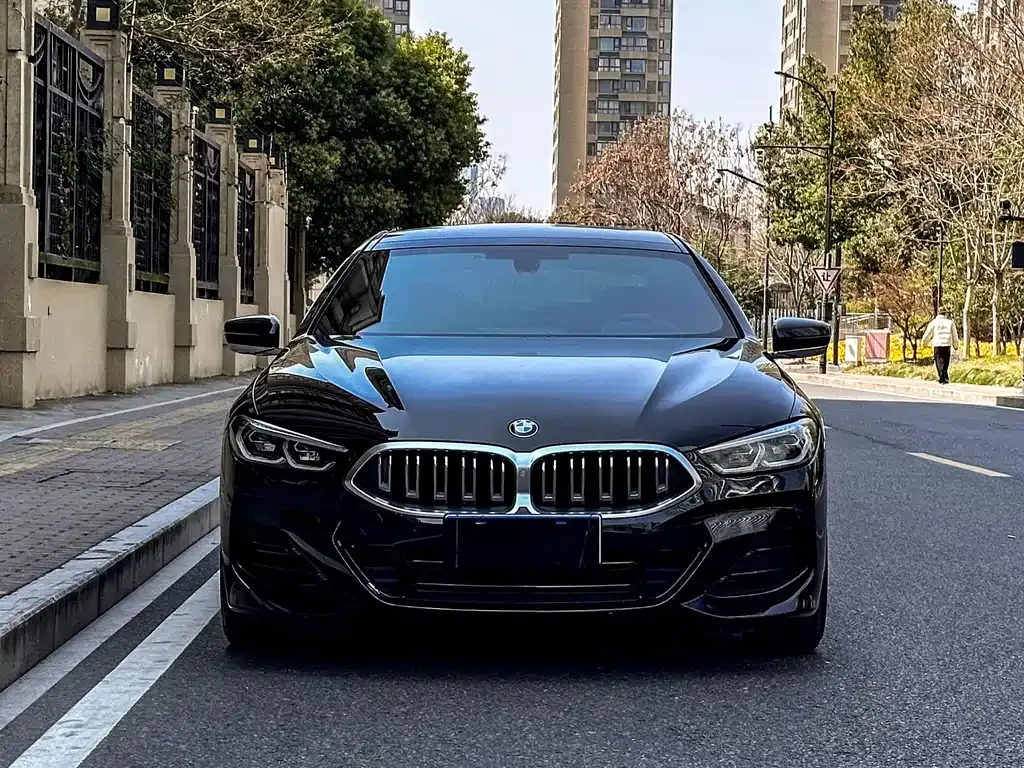 BMW 8 Series — фото 10