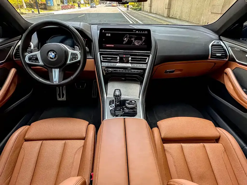 BMW 8 Series — фото 6