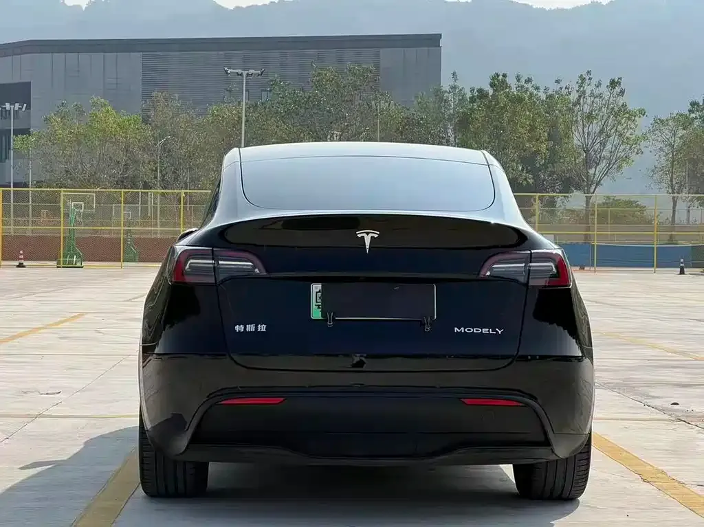 Tesla Model Y — фото 6