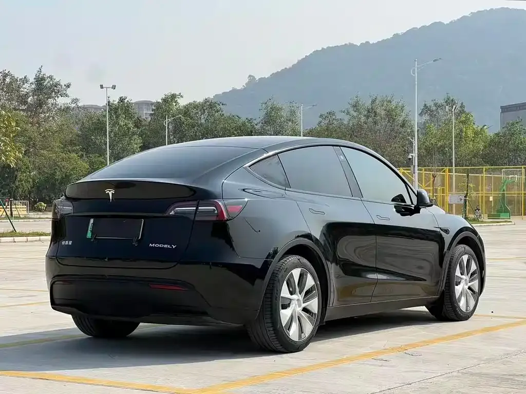 Tesla Model Y — фото 9