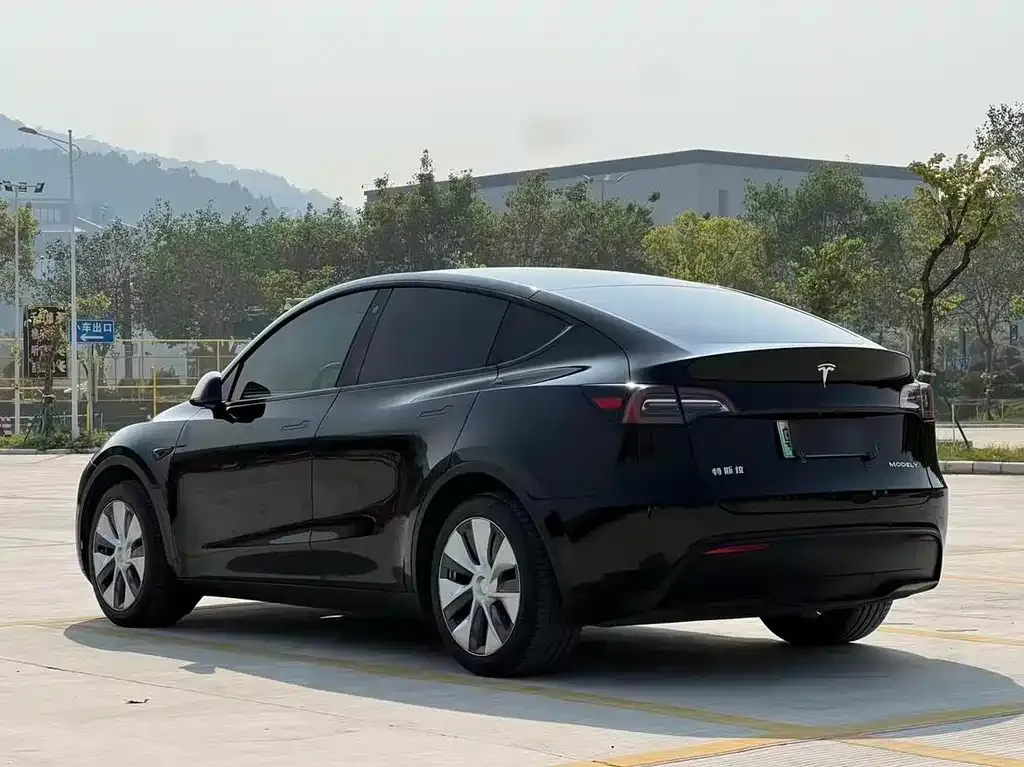 Tesla Model Y — фото 5