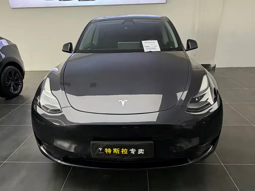 Tesla Model Y — фото 5