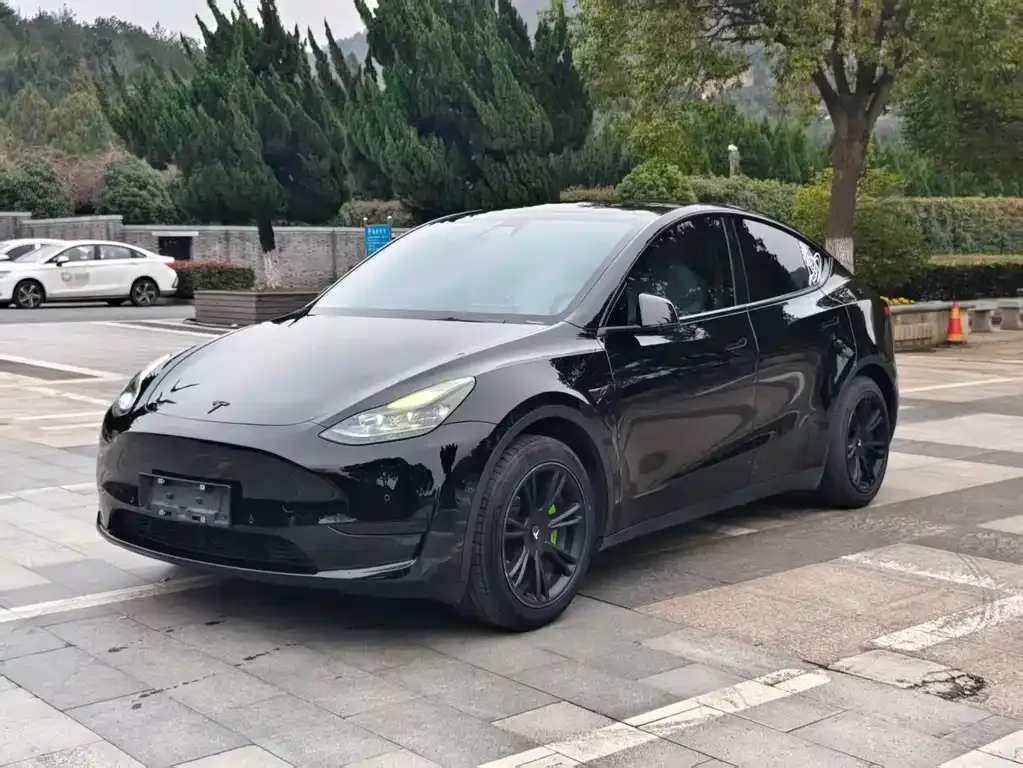 Tesla Model Y 2022 из CN, фото 1