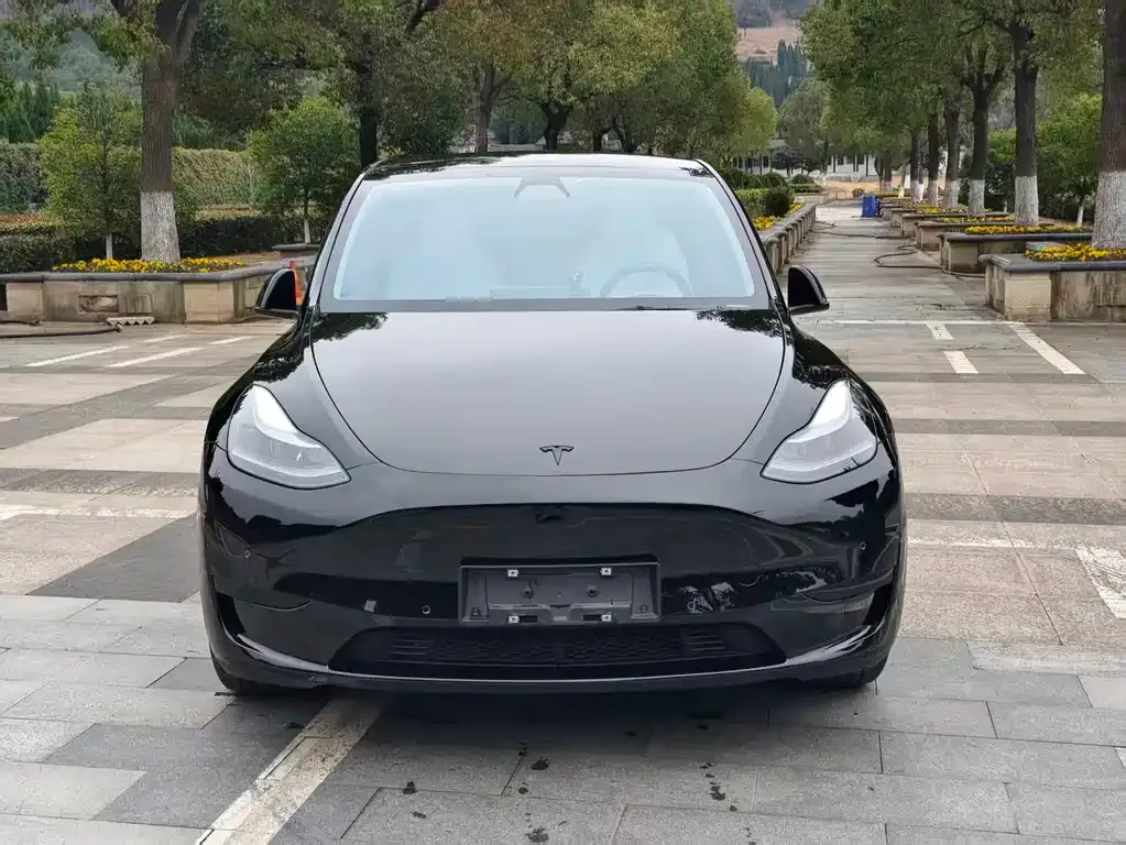 Tesla Model Y 2022 из CN, фото 5