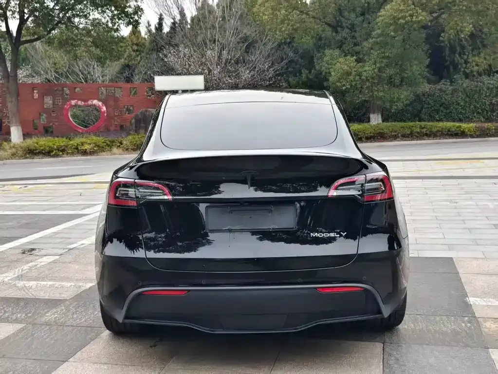 Tesla Model Y 2022 из CN, фото 6