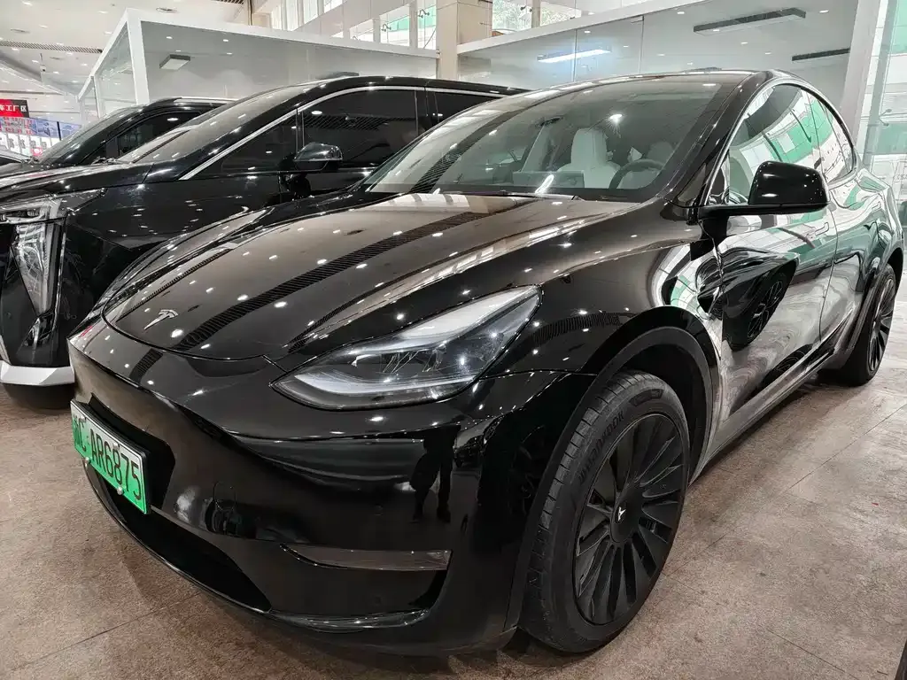 Tesla Model Y — фото 1
