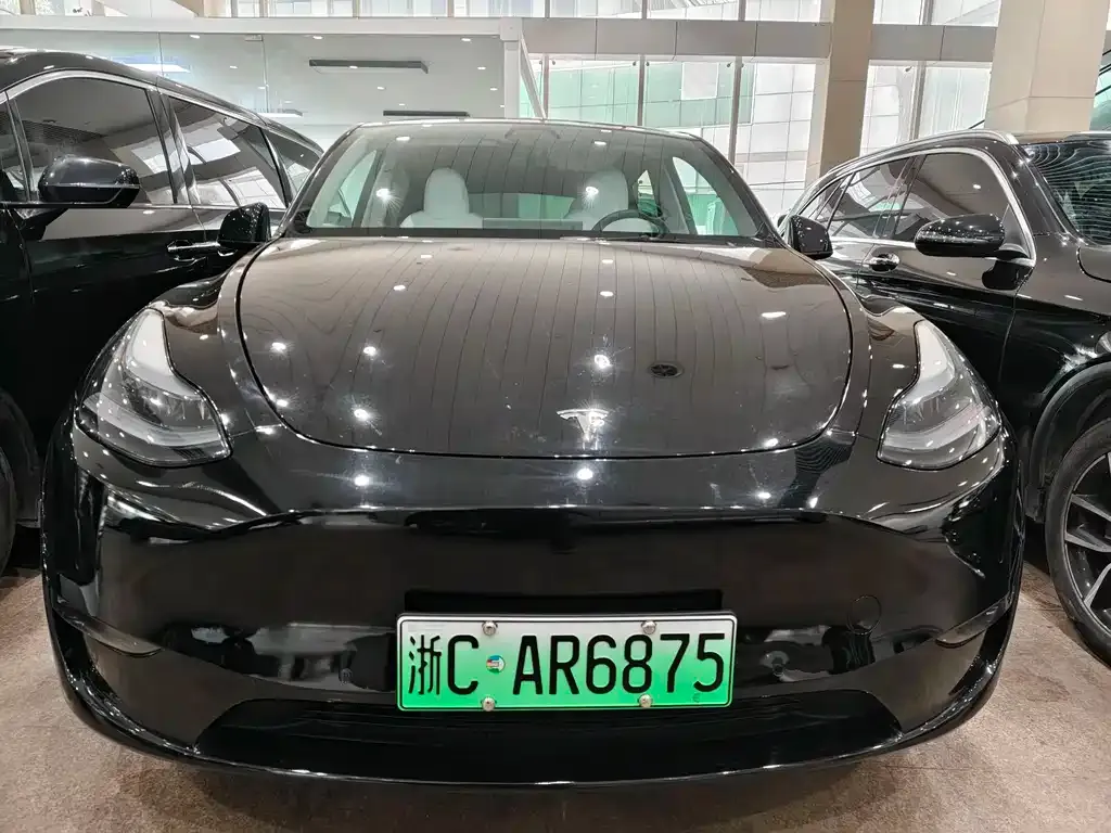 Tesla Model Y — фото 9