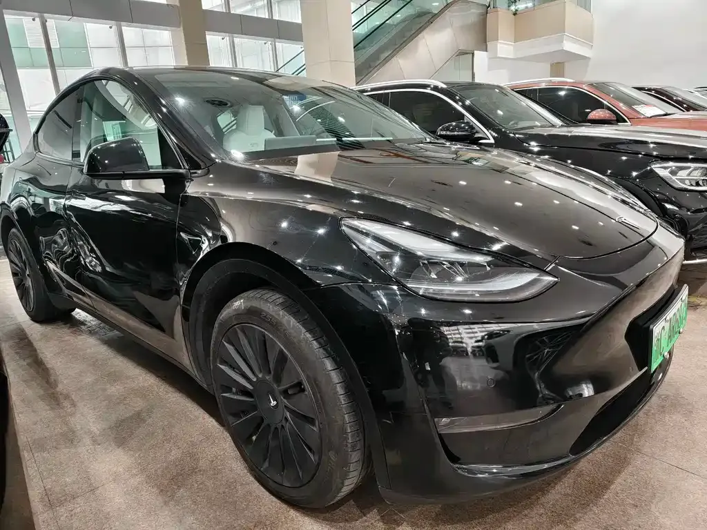 Tesla Model Y — фото 10