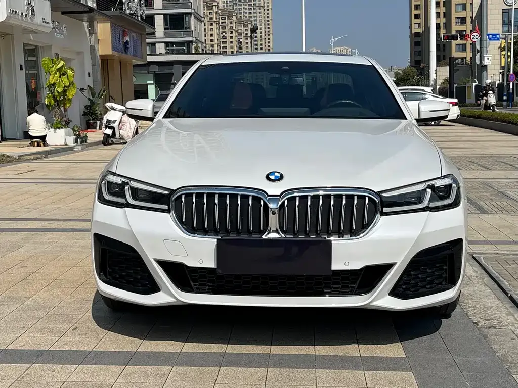 BMW 5 Series 2023 из CN, фото 5