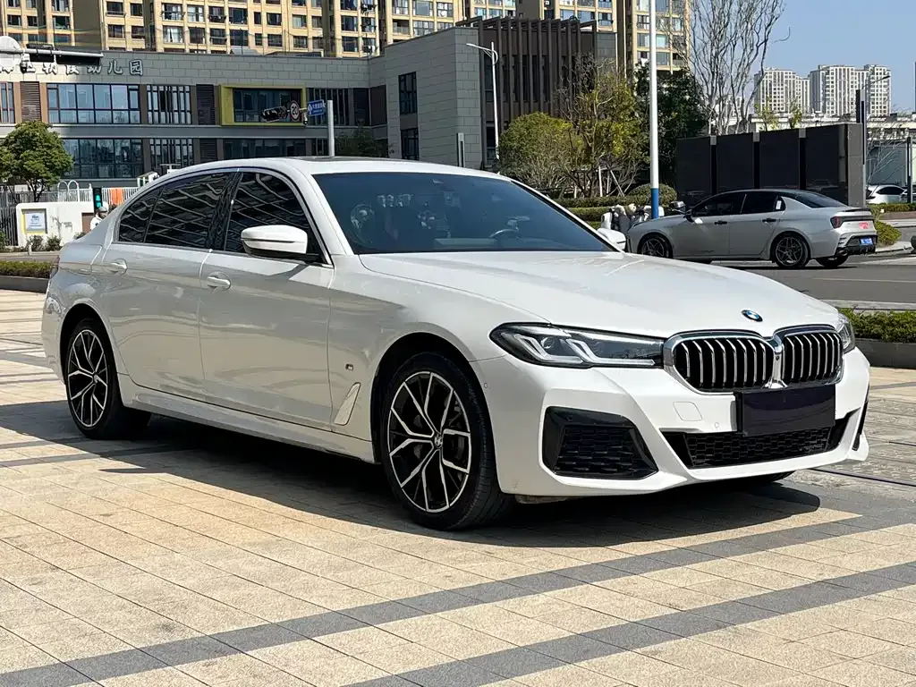 BMW 5 Series 2023 из CN, фото 8