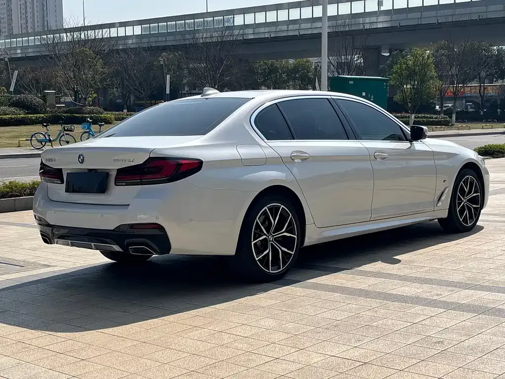 BMW 5 Series 2023 из CN, фото 6