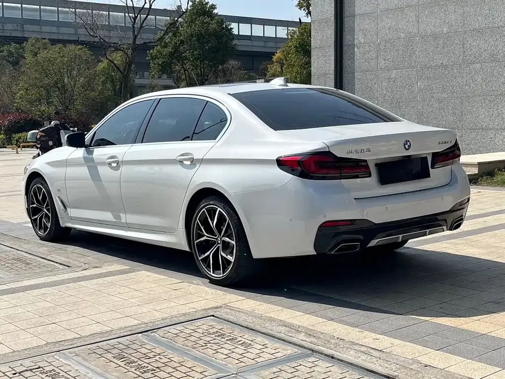 BMW 5 Series 2023 из CN, фото 9
