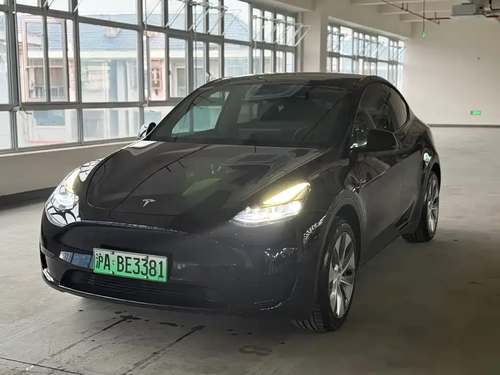 Tesla Model Y 2022 из CN, фото 1