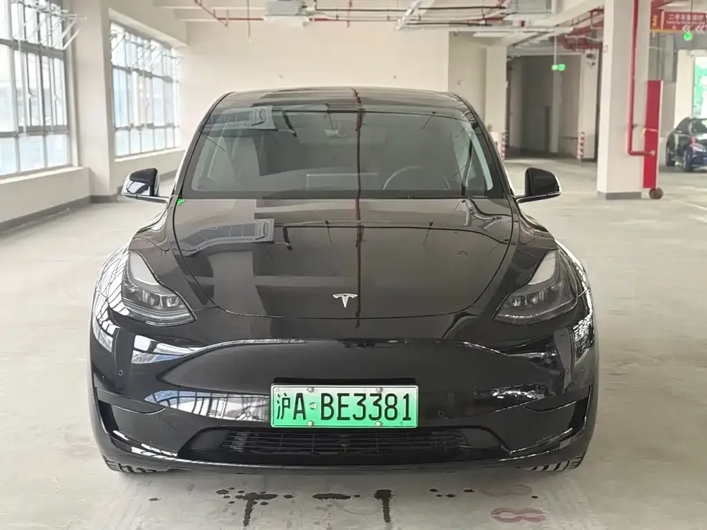 Tesla Model Y 2022 из CN, фото 6