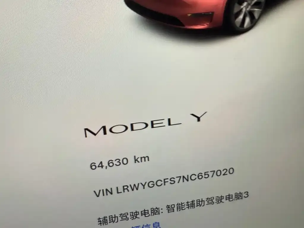 Tesla Model Y 2022 из CN, фото 8