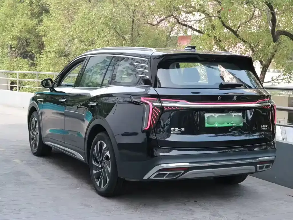 Hongqi HS7 PHEV 2024 из CN, фото 6