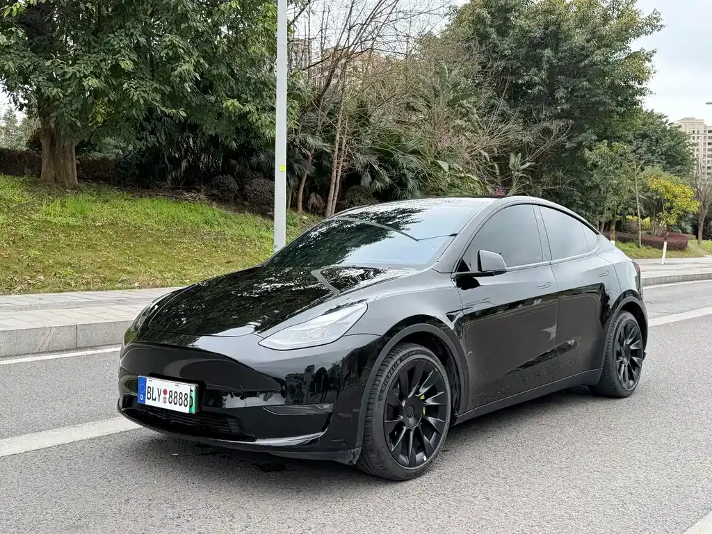 Tesla Model Y — фото 1