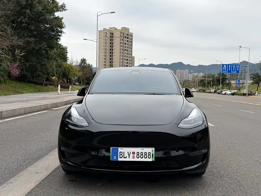 Tesla Model Y — фото 7