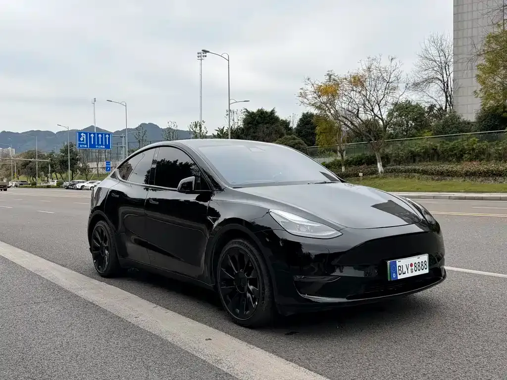 Tesla Model Y — фото 8