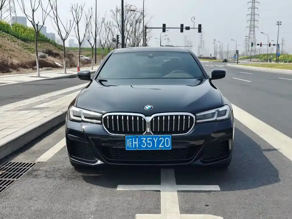 BMW 5 Series 2023 из CN, фото 5