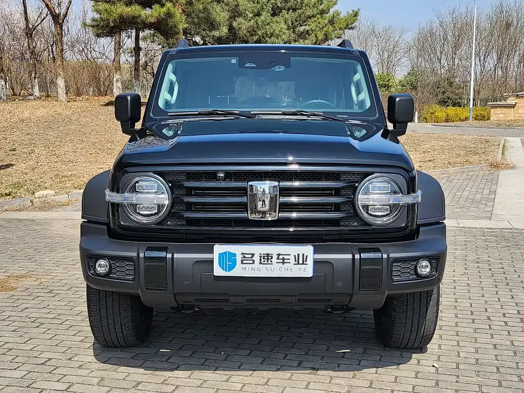 Tank 300 2022 из CN, фото 2