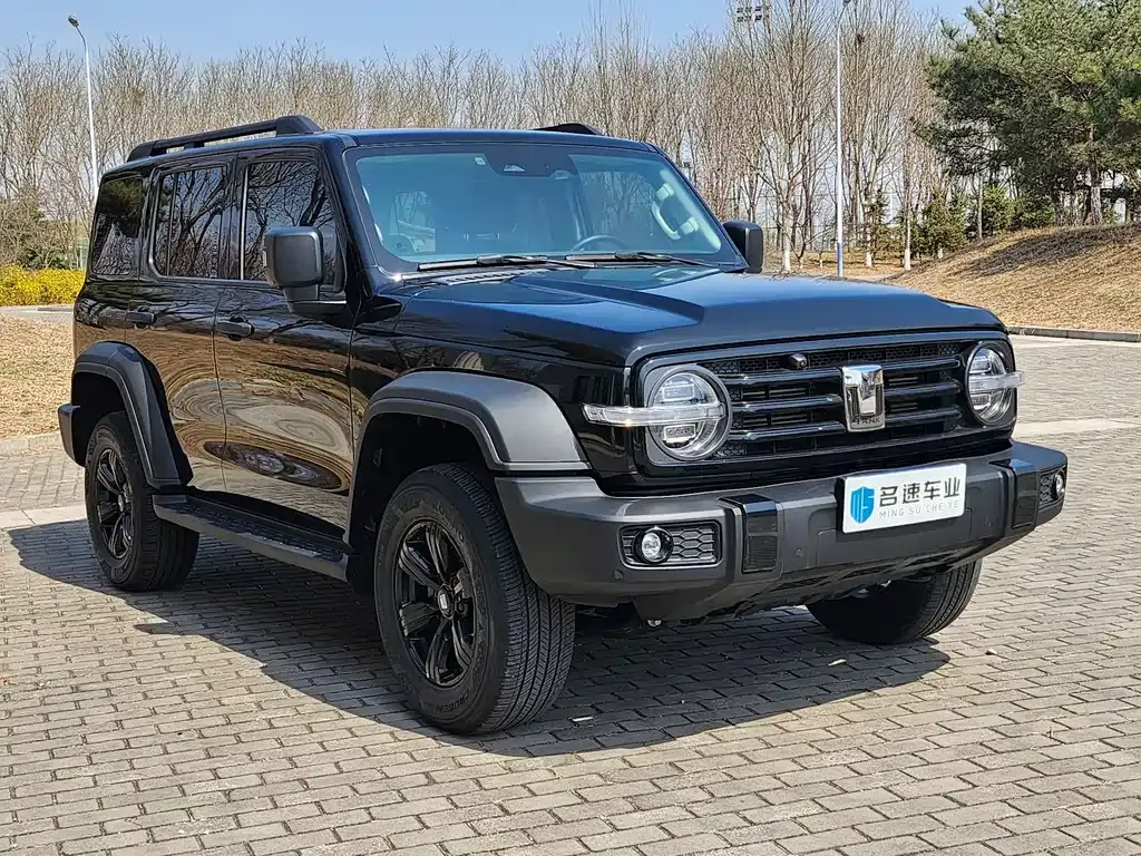 Tank 300 2022 из CN, фото 7