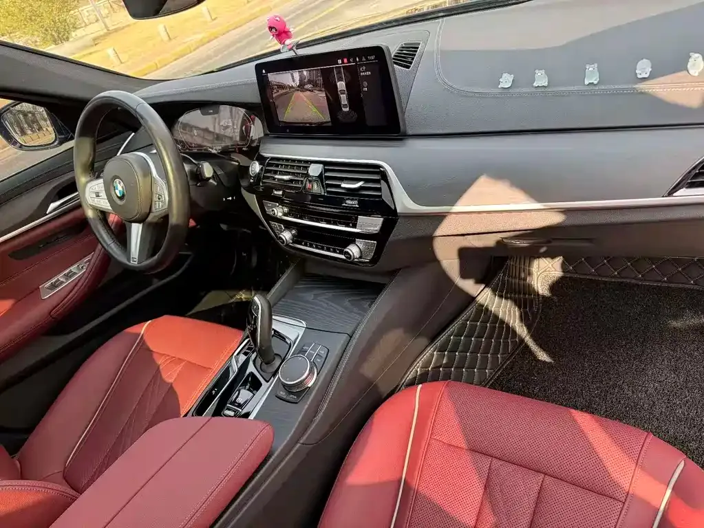BMW 5 Series 2023 из CN, фото 5