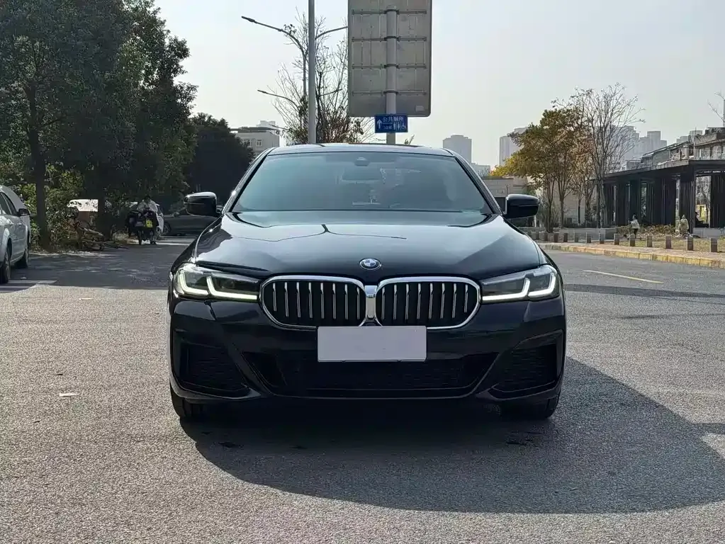BMW 5 Series 2023 из CN, фото 6