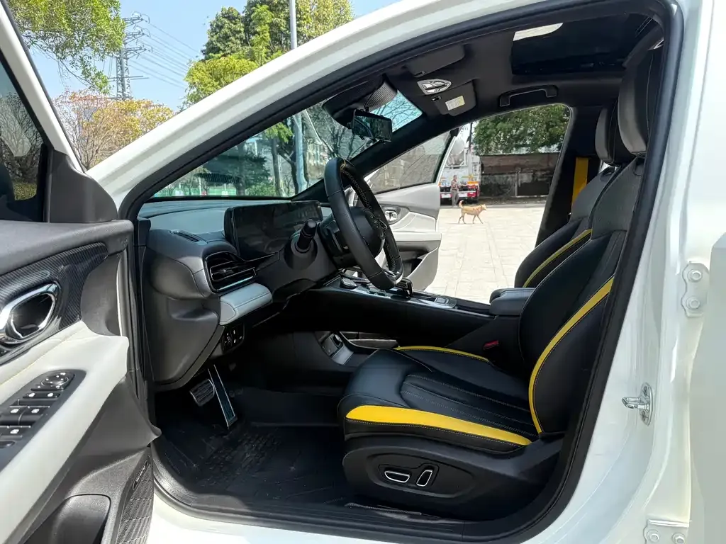 GAC Motor Shadow Leopard 2024 из CN, фото 4