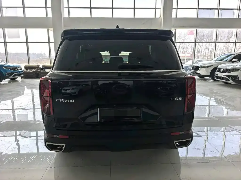 GAC Motor Trumpchi GS8 2023 из CN, фото 10