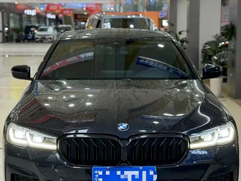 BMW 5 Series 2022 из CN, фото 4