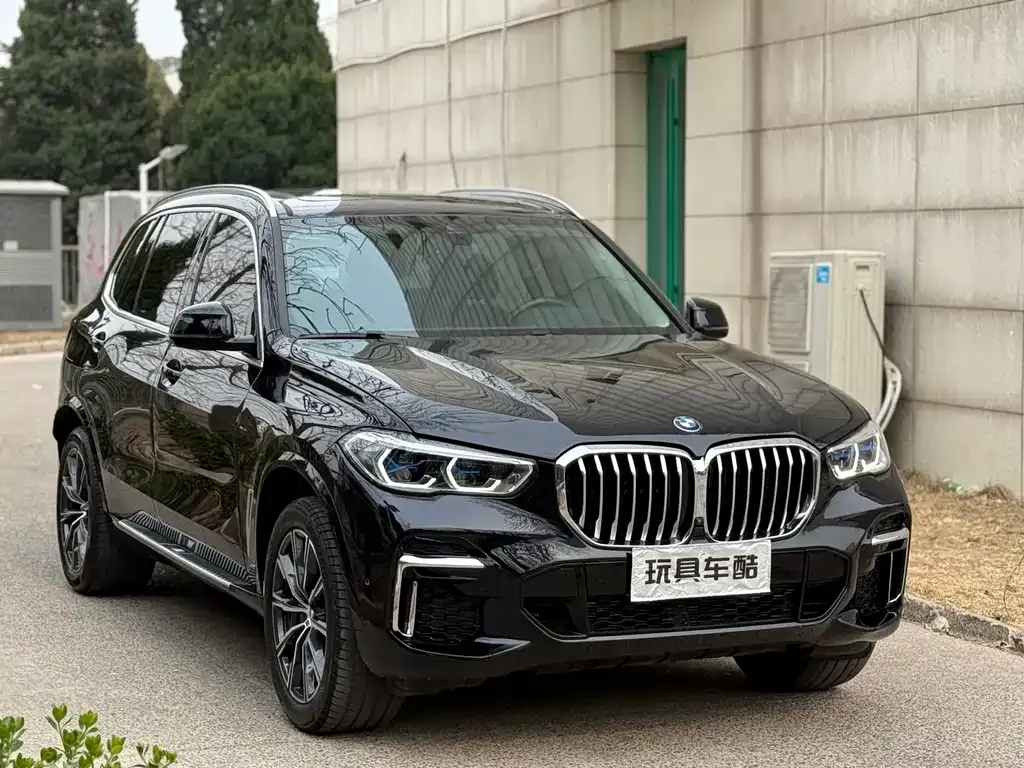 BMW X5 2022 из CN, фото 8