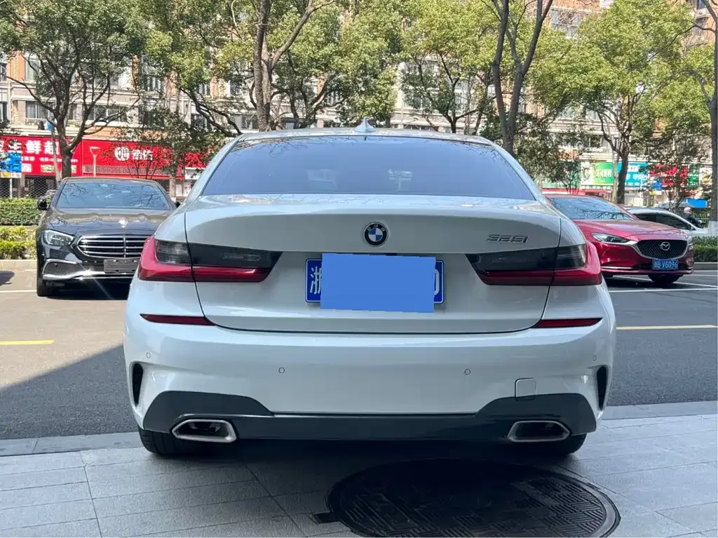 BMW 3 Series 2021 из CN, фото 8